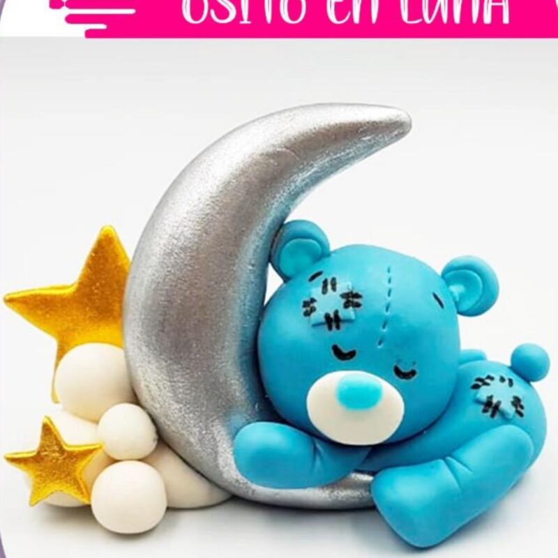 Osito en Luna