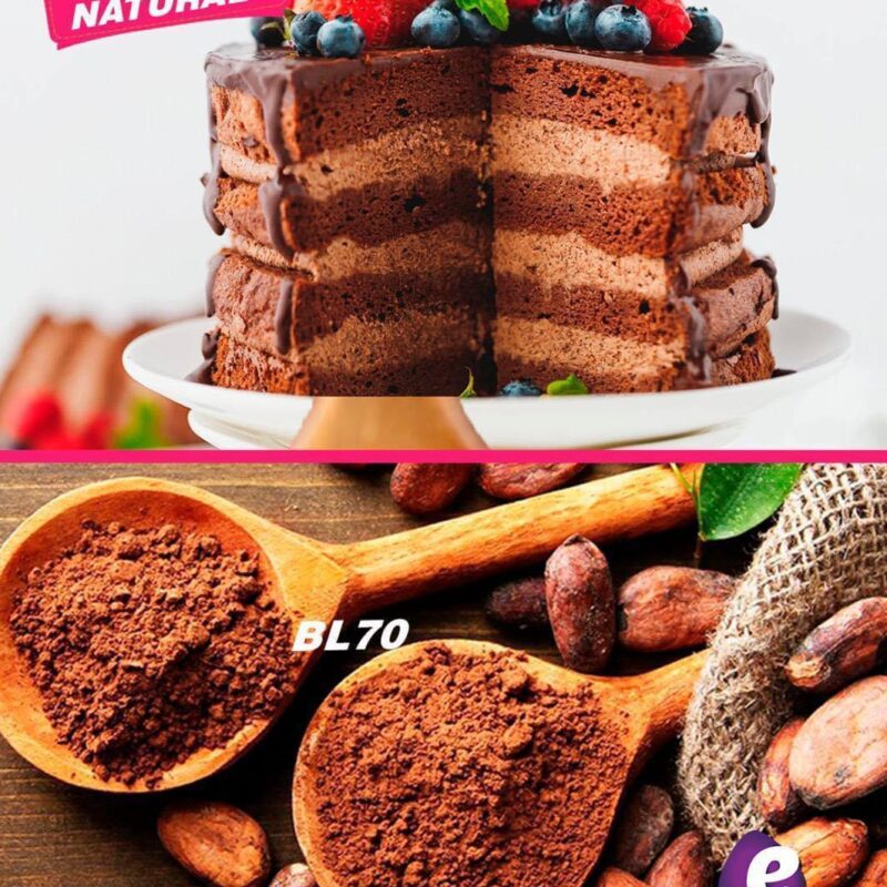 Cacao Cargill BL70